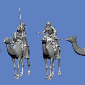 Arabische Dromedar Reiter